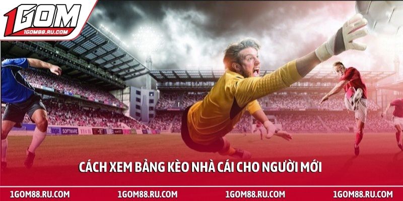 Cách xem bảng kèo nhà cái - Hướng dẫn đọc tỷ lệ bóng đá 3 Cách xem bảng kèo nhà cái cho người mới